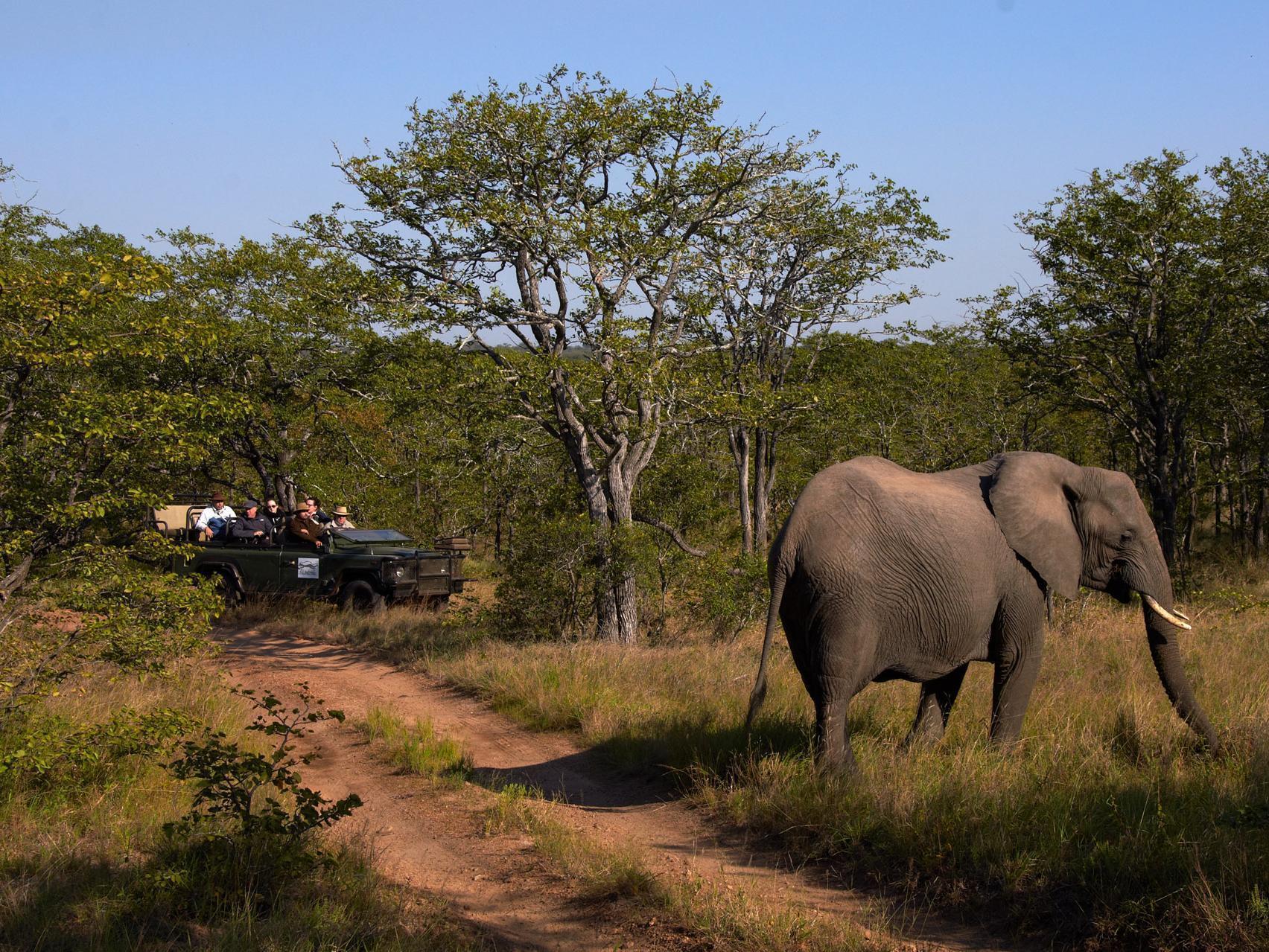 Shindzela Tented Camp Резерват за дивеч „Тимбавати“ Екстериор снимка