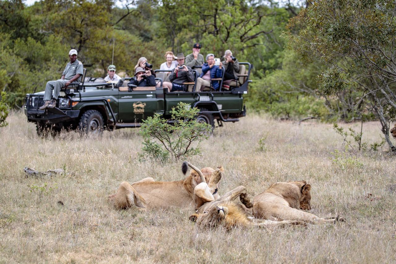 Shindzela Tented Camp Резерват за дивеч „Тимбавати“ Екстериор снимка