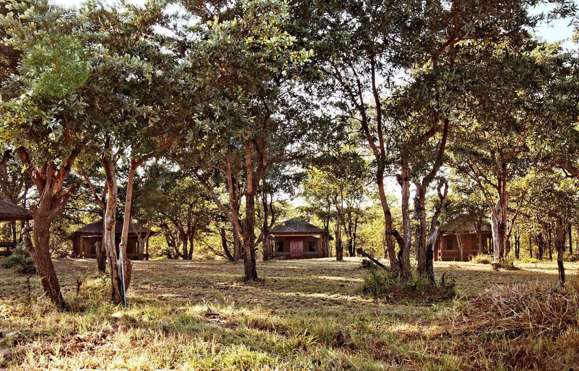 Shindzela Tented Camp Резерват за дивеч „Тимбавати“ Екстериор снимка