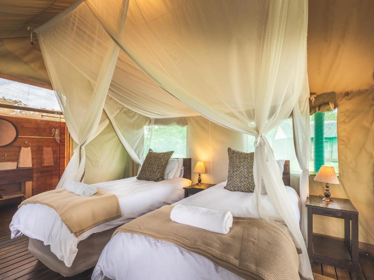 Shindzela Tented Camp Резерват за дивеч „Тимбавати“ Екстериор снимка
