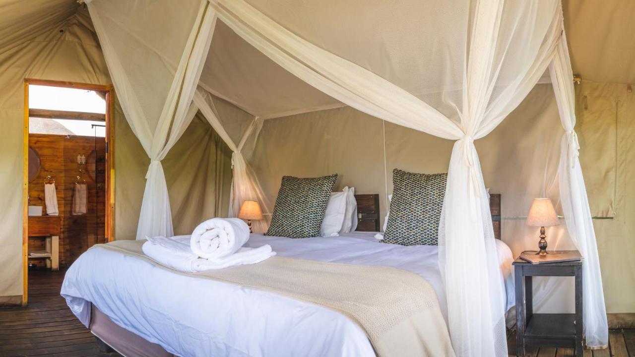 Shindzela Tented Camp Резерват за дивеч „Тимбавати“ Екстериор снимка