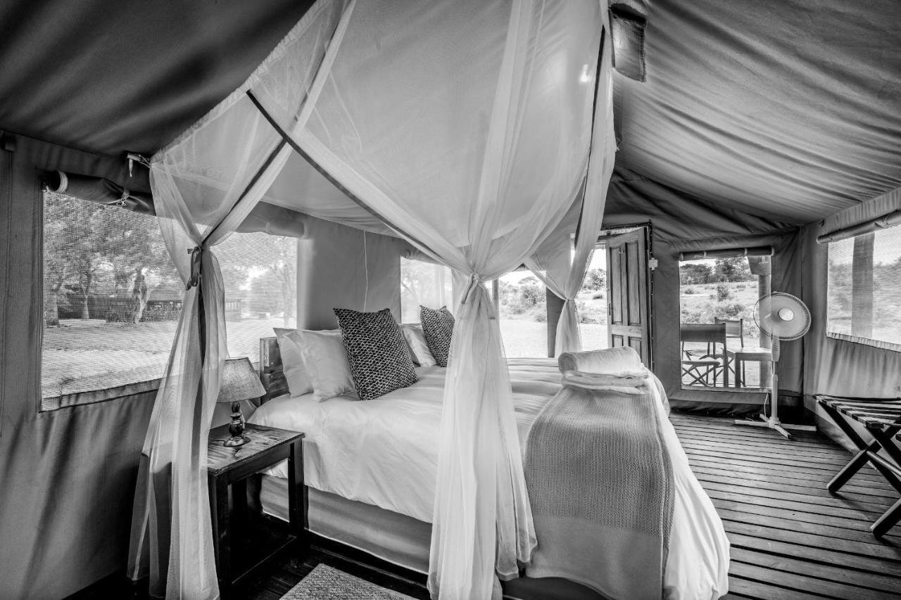 Shindzela Tented Camp Резерват за дивеч „Тимбавати“ Екстериор снимка