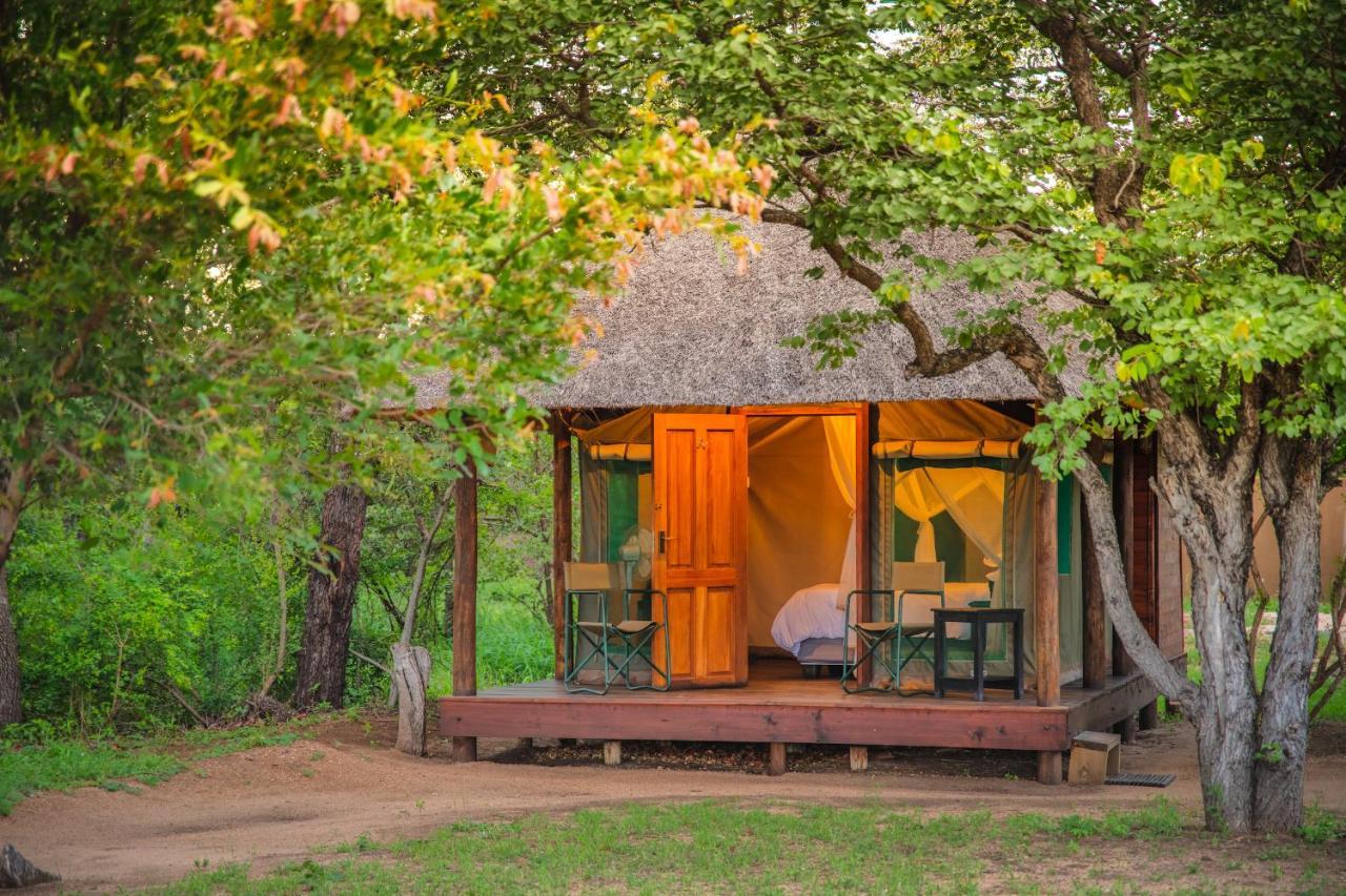 Shindzela Tented Camp Резерват за дивеч „Тимбавати“ Екстериор снимка