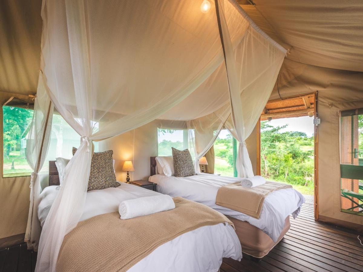 Shindzela Tented Camp Резерват за дивеч „Тимбавати“ Екстериор снимка